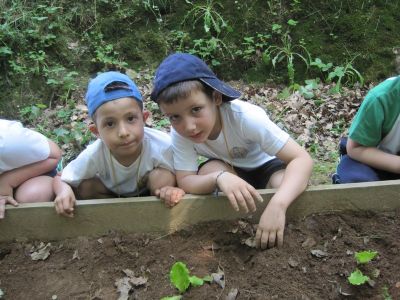 Preme para ver a foto ampliada