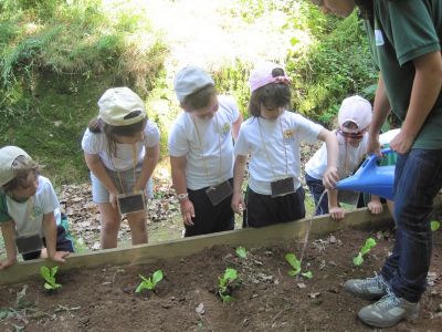 Preme para ver a foto ampliada