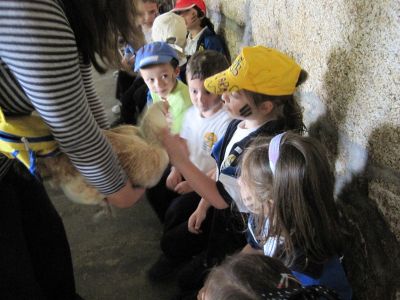 Preme para ver a foto ampliada