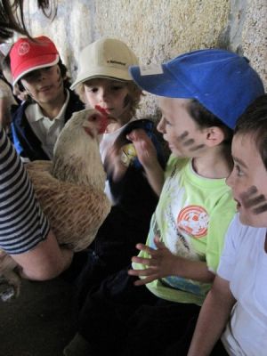 Preme para ver a foto ampliada