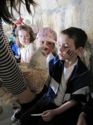 Preme para ver a foto ampliada