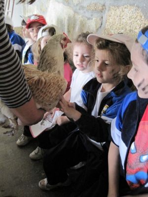 Preme para ver a foto ampliada