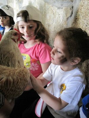 Preme para ver a foto ampliada