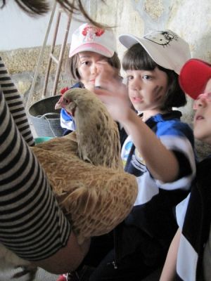 Preme para ver a foto ampliada