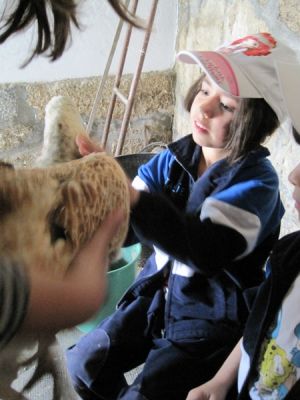 Preme para ver a foto ampliada