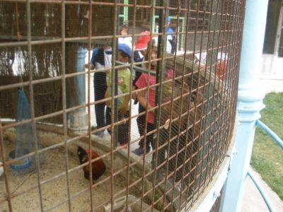 Preme para ver a foto ampliada