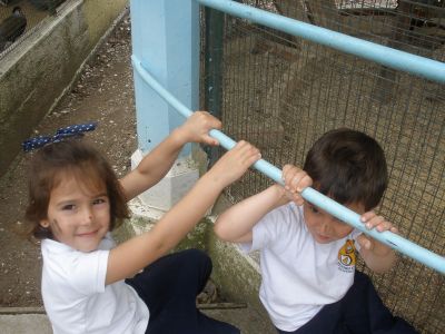 Preme para ver a foto ampliada