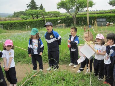 Preme para ver a foto ampliada
