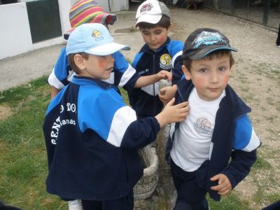 Preme para ver a foto ampliada