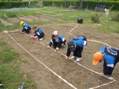 Preme para ver a foto ampliada