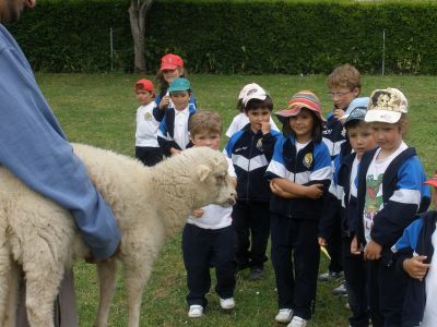 Preme para ver a foto ampliada