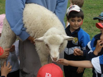 Preme para ver a foto ampliada