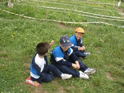 Preme para ver a foto ampliada