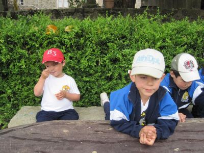 Preme para ver a foto ampliada