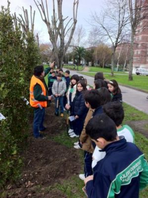 Preme para ver a foto ampliada