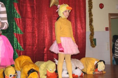 Preme para ver a foto ampliada