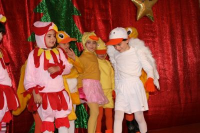 Preme para ver a foto ampliada