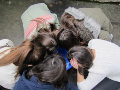 Preme para ver a foto ampliada