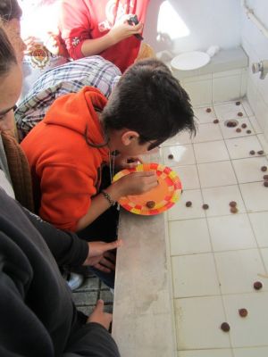 Preme para ver a foto ampliada