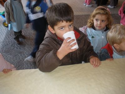 Preme para ver a foto ampliada