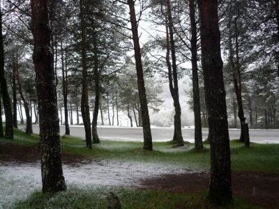 Preme para ver a foto ampliada