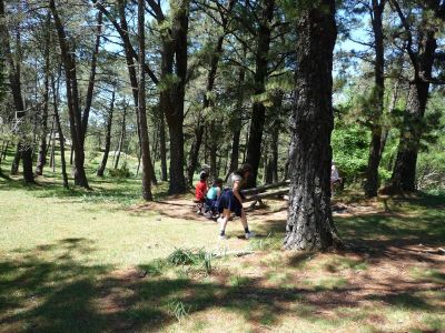 Preme para ver a foto ampliada