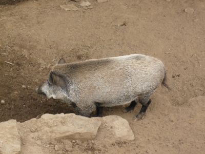 Preme para ver a foto ampliada