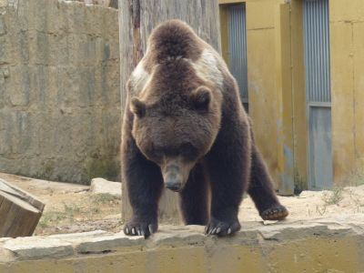 Preme para ver a foto ampliada
