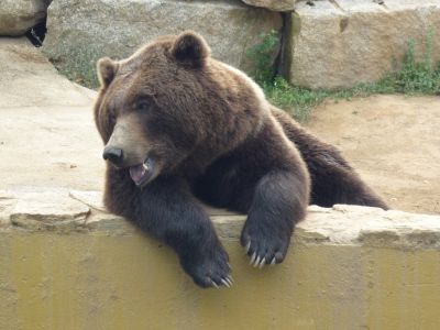 Preme para ver a foto ampliada