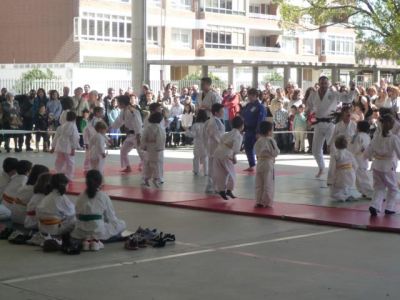 Preme para ver a foto ampliada