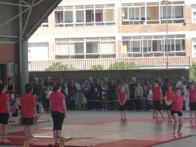 Preme para ver a foto ampliada