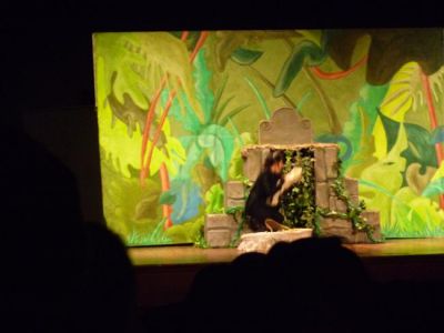 Preme para ver a foto ampliada