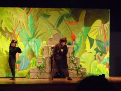 Preme para ver a foto ampliada