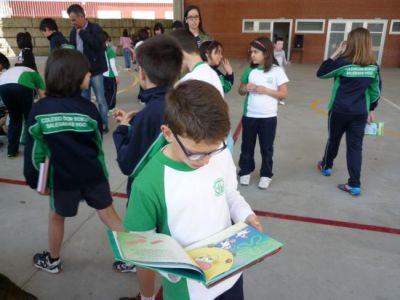 Preme para ver a foto ampliada