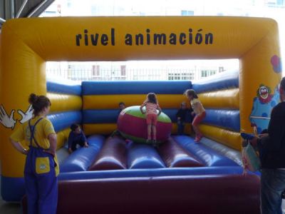 Preme para ver a foto ampliada