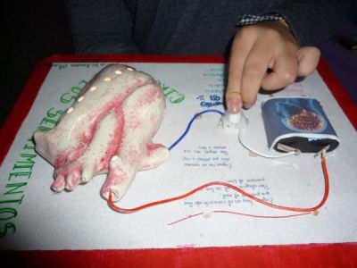 Preme para ver a foto ampliada