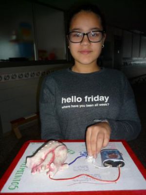 Preme para ver a foto ampliada