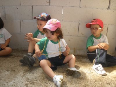 Preme para ver a foto ampliada