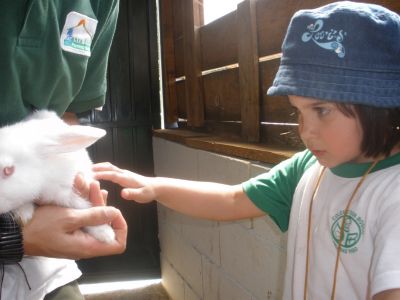 Preme para ver a foto ampliada