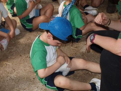 Preme para ver a foto ampliada