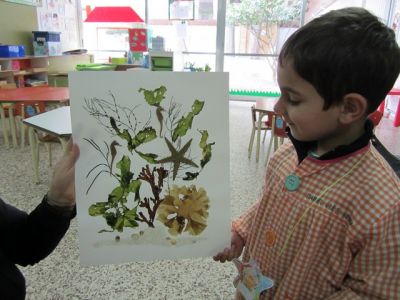 Preme para ver a foto ampliada