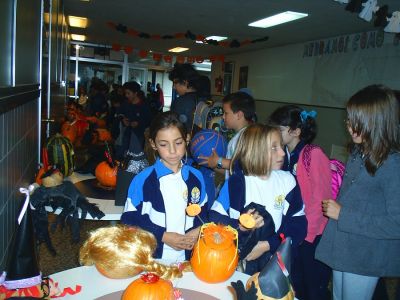 Preme para ver a foto ampliada