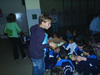 Preme para ver a foto ampliada