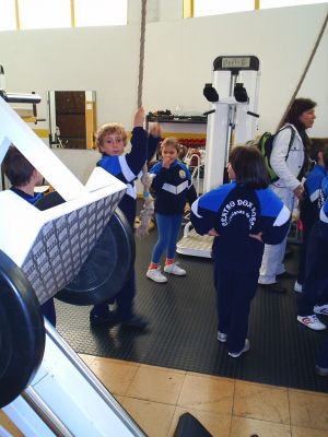 Preme para ver a foto ampliada