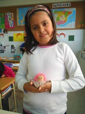 Preme para ver a foto ampliada