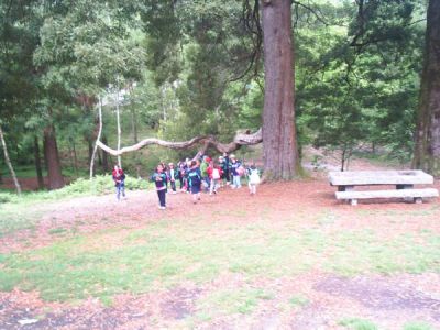 Preme para ver a foto ampliada