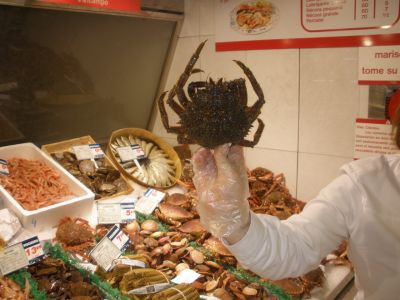 Preme para ver a foto ampliada