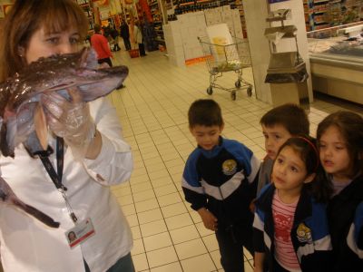 Preme para ver a foto ampliada