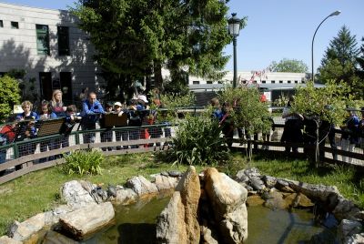 Preme para ver a foto ampliada