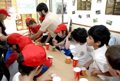 Preme para ver a foto ampliada